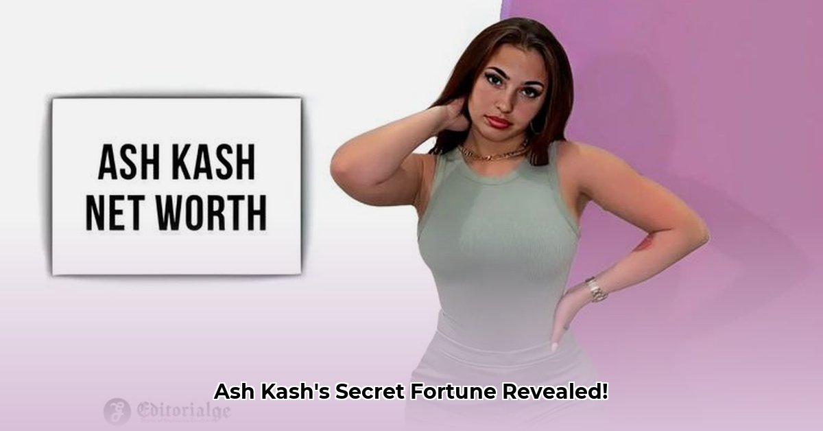 ash-kash-net-worth
